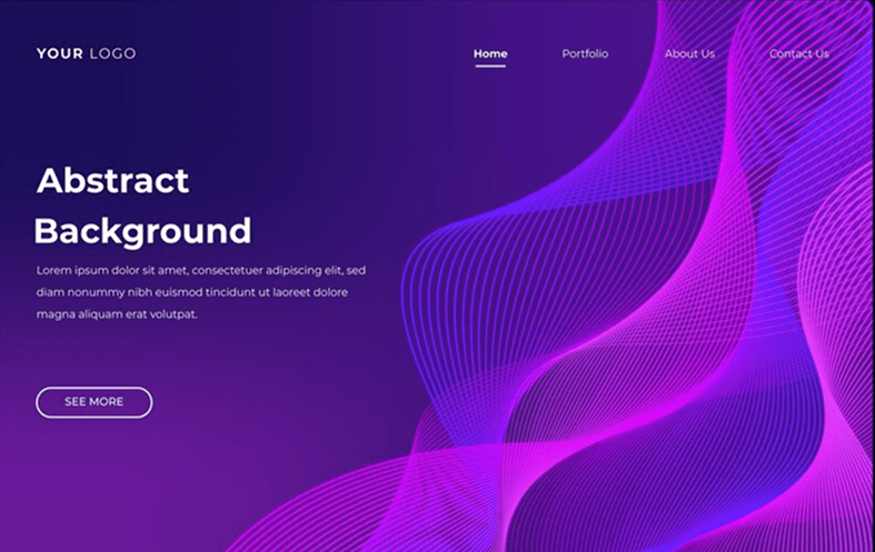 Standard  Website Package laptop